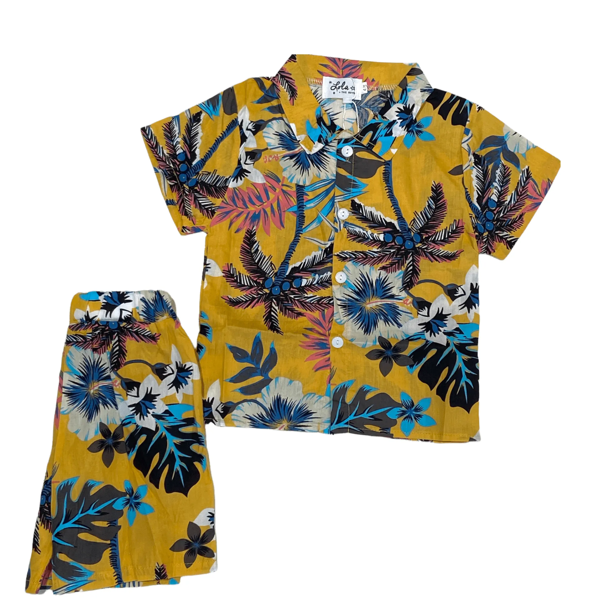 Hawaii Summer Set