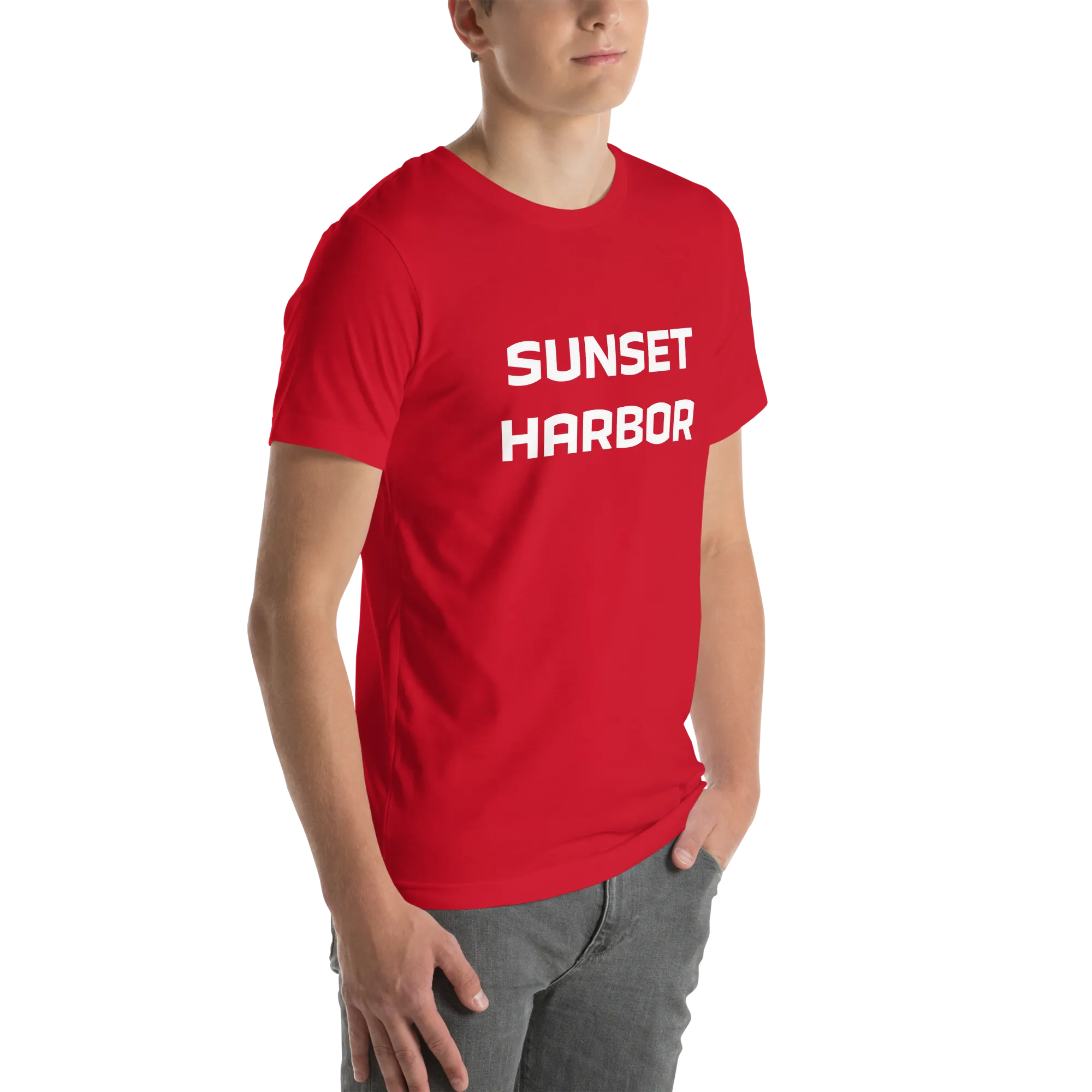 Mens t-shirt - Harbor Edge