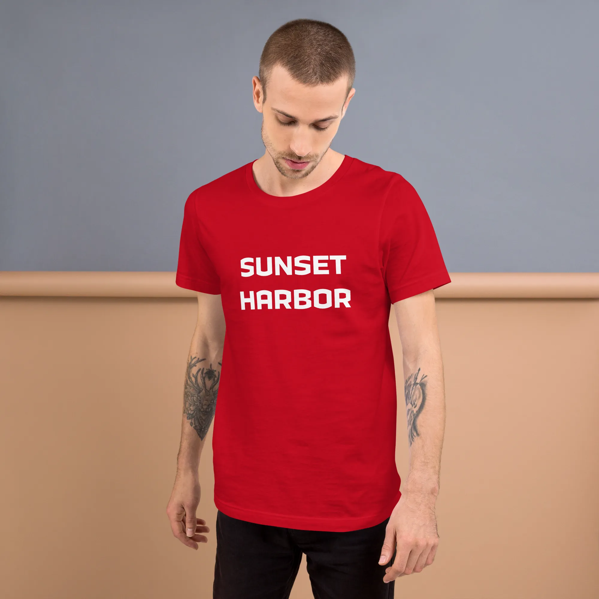 Mens t-shirt - Harbor Edge