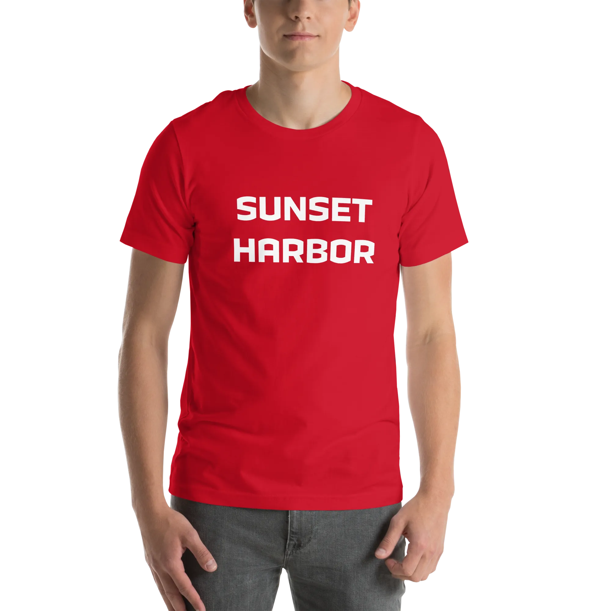 Mens t-shirt - Harbor Edge